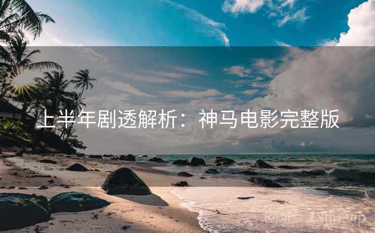 上半年剧透解析：神马电影完整版