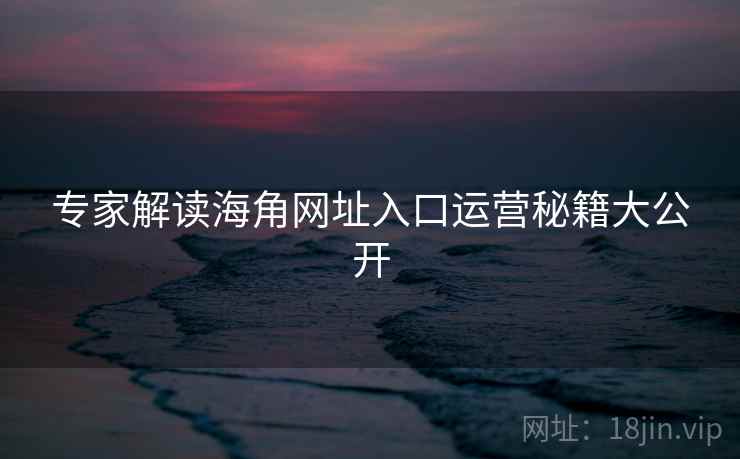 专家解读海角网址入口运营秘籍大公开